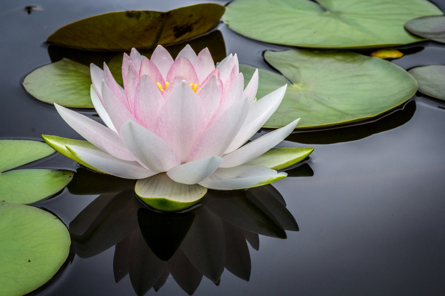 Zen en extérieur